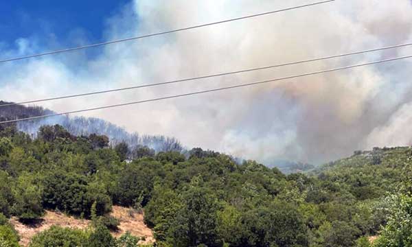 Φωτιά στη Σκάλα Δεσκάτης – Εκκενώθηκε καταφύγιο όπου βρίσκονταν 55 παιδιά