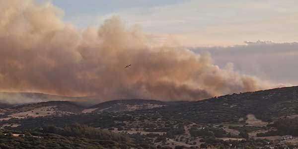 Θεσσαλονίκη: Φωτιά στο Μεσαίο Ωραιοκάστρου -Στη μάχη και εναέρια μέσα, προειδοποιητικό μήνυμα από το 112