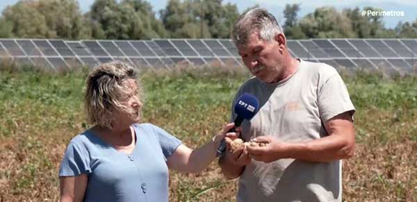 Φούφας Εορδαίας: Η κλιματική αλλαγή έχει πλήξει την παραγωγή πατάτας