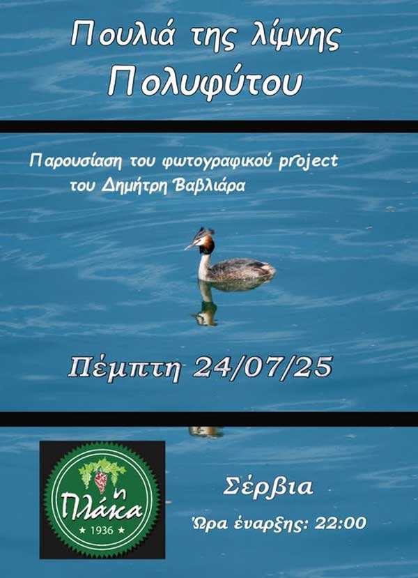 “Πουλιά τη λίμνης Πολυφύτου”, παρουσίαση σήμερα στα Σέρβια