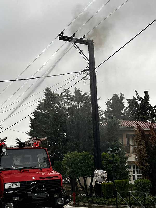 Άμεση κινητοποίηση για φωτιά σε κολώνα με πελαργούς στην Αγία Παρασκευή Κοζάνης