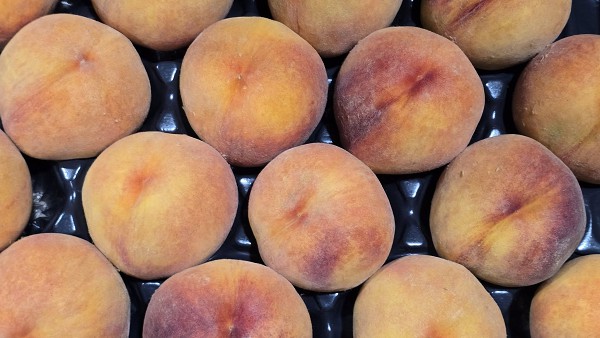 FruitUp! Προωθώντας τα ευρωπαϊκά μήλα, ροδάκινα και νεκταρίνια στις αγορές της Ελλάδας και της Γαλλίας