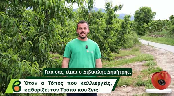 Velvita Gold: Τρεις γενιές καλλιεργούν την ποιότητα που φτάνει στο τραπέζι σας