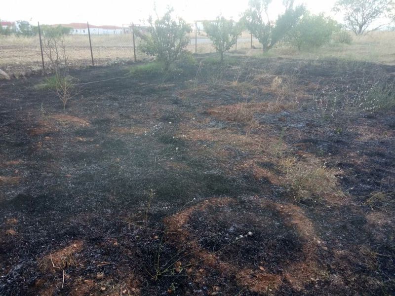 Σιάτιστα: Πυρκαγιά απέναντι από το μνημείο Φαρδύκαμπου – Φωτογραφίες