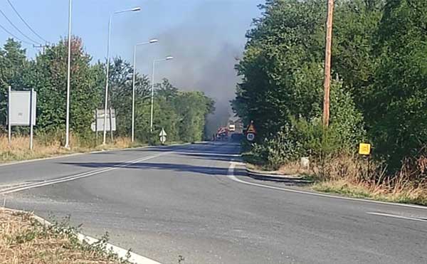 Μεγάλη φωτιά κοντά στον Άγιο Ελευθέριο Κοζάνης – Άμεση κινητοποίηση Πυροσβεστικής και Τροχαία