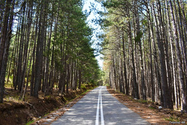 Διασχίζοντας τα καταπράσινα Πιέρια με προορισμό το Καταφύγι!