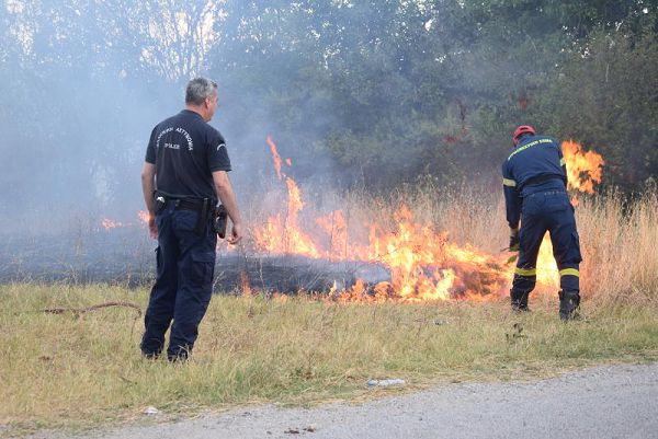Φωτιά στον Κασλά στην Κοζάνη – Άμεση επέμβαση της Πυροσβεστικής Υπηρεσίας – Δείτε φωτογραφίες & βίντεο