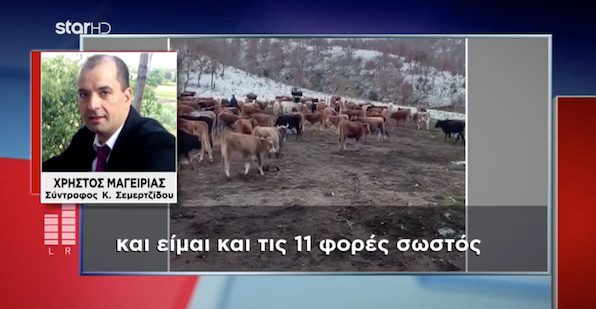 Tι απαντά ο σύντροφος της Καλλιόπης Σεμερτζίδου για τα 1.4 εκ. ευρώ: Αυτά είναι πραγματικότητα, δεν τα αποκρύπτουμε