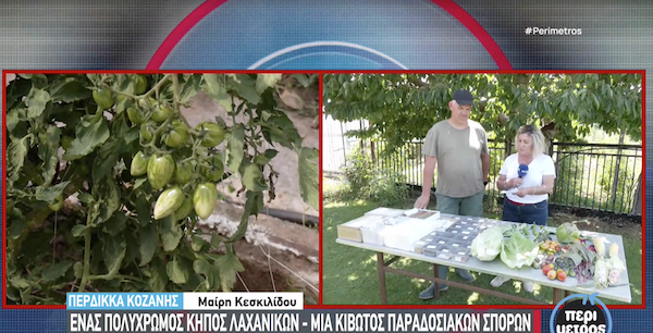 Ένας πολύχρωμος λαχανόκηπος αλλιώτικος από τους άλλους στην Περδίκκα Κοζάνης