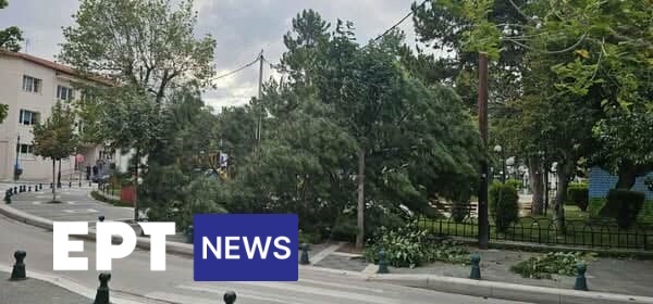 Κοζάνη: Αλλαγή σκηνικού – Ισχυροί άνεμοι στην Πτολεμαΐδα – Πτώσεις δέντρων