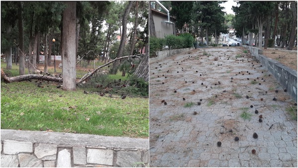Γεμάτο πευκοβελόνες, κουκουνάρια και κλαδιά το πάρκο του Αγίου Δημητρίου
