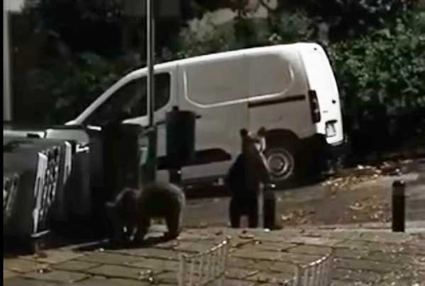 Αρκούδες στην κεντρική πλατεία Περιβολίου