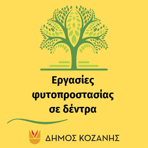 Εργασίες φυτοπροστασίας σε δέντρα στον Δήμο Κοζάνης απόψε το βράδυ