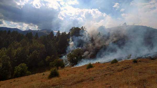 Υπό μερικό έλεγχο η πυρκαγιά στα Γρεβενά – Παραμένουν ισχυρές δυνάμεις στην περιοχή