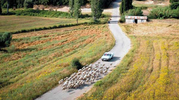 ΟΠΕΚΕΠΕ: Η περίπτωση δύο κατοίκων του Αγίου Δημητρίου Κοζάνης – Πόσα εισέπραξαν