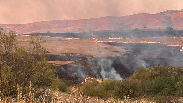 Φλώρινα: Πυρκαγιά σε παραμεθόριο αγροτική περιοχή