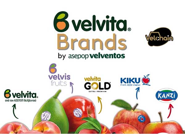 Velvita Brands® – Η ταυτότητα του ΑΣΕΠΟΠ Βελβεντού στην παγκόσμια αγορά