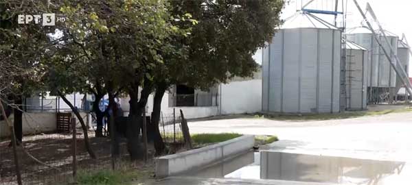 Κρούσματα ευλογιάς και σε δεύτερη κτηνοτροφική μονάδα στα Γρεβενά – «Το lockdown θα είναι το τέλος μας» λένε οι κτηνοτρόφοι στα Φάρσαλα