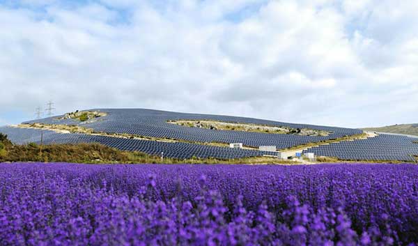 H HELLENiQ ENERGY  για τη στρατηγική  συμφωνία με την Apple για την προμήθεια ενέργειας από  ηλιακό έργο 110 MW στην Κοζάνη