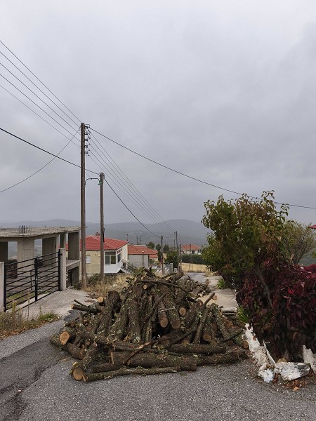 Διπλάσια ποσότητα καυσόξυλων στους κατοίκους της Δημοτικής Κοινότητας Μεταξά