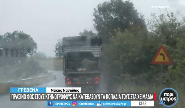 Γρεβενά: Πράσινο φως στους κτηνοτρόφους να κατεβάσουν τα κοπάδια τους στα χειμαδιά