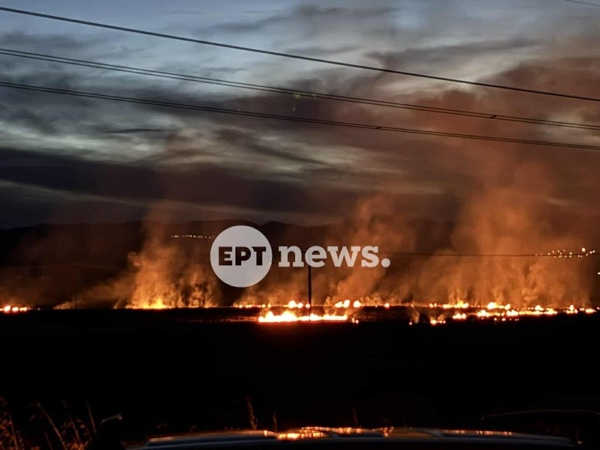 Πυρκαγιά έξω από το Άργος Ορεστικό, κοντά στο πεδίο βολής