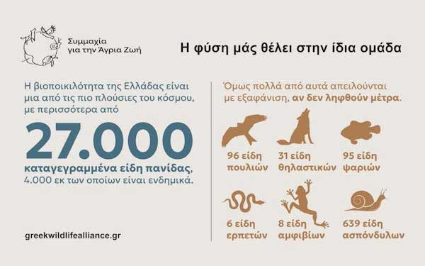 “Συμμαχία για την Άγρια Ζωή”: Γιατί η φύση μάς θέλει στην ίδια ομάδα