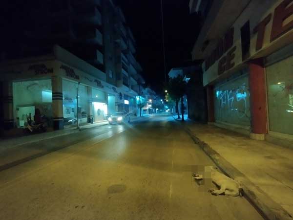Τροχαίο ατύχημα στην οδό Γκέρτσου στην Κοζάνη – Οδηγός μηχανής παρέσυρε σκύλο και τραυματίστηκε και ο ίδιος