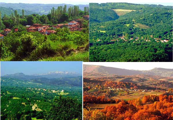 Αρκούδες, λύκοι και αγριογούρουνα στα μονοπάτια των χωριών του Βοΐου. Χωριά που αδειάζουν, άγρια ζωή που πληθαίνει