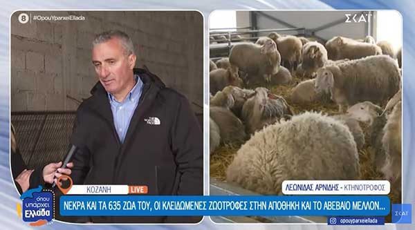 Κοζάνη: Κτηνοτρόφοι μιλούν για τα μεγάλα προβλήματα που αντιμετωπίζουν – Αβέβαιο το μέλλον