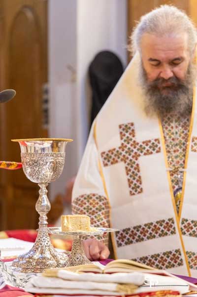 Ο δρόμος των 40 ημερών για τη Φάτνη- Γράφει ο Μητροπολίτης Φλωρίνης Πρεσπών και Εορδαίας Ειρηναίος