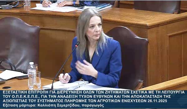 Καλλιόπη Σεμερτζίδου: Εγώ στο όνομά μου δεν έχω κανένα περιουσιακό στοιχείο, έχω μόνο ένα μηχανάκι- Δεν ήξερα ότι πρέπει να πάρω άδεια για το αυτοκίνητο του συντρόφου μου