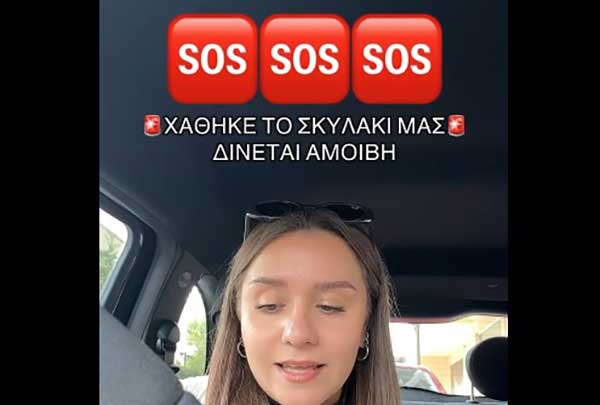 Χάθηκε κυνηγόσκυλο στη Κοζάνη
