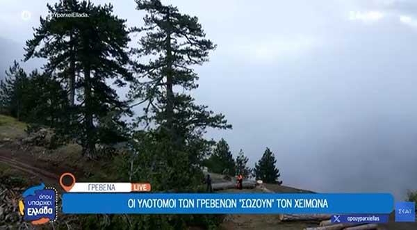 Η δύσκολη, αλλά πολύ σημαντική δουλειά των υλοτόμων των Γρεβενών