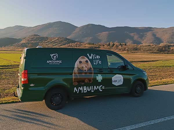 Το πρώτο ασθενοφόρο μεγάλων άγριων θηλαστικών στην Ελλάδα