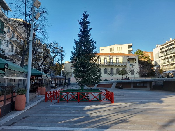 Ένα δέντρο θα πληρώσει ο Δήμος Κοζάνης