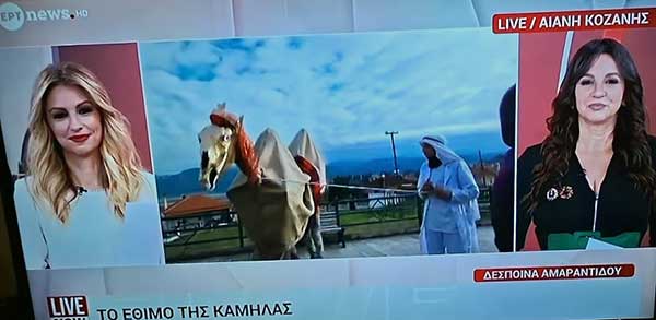 Το έθιμο της καμήλας στην Αιανή