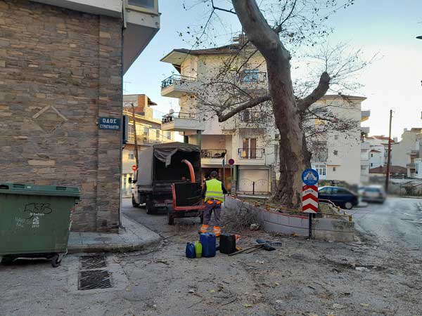 Κλάδεμα του γέρικου πλάτανου στου Νιούλη το πηγάδι