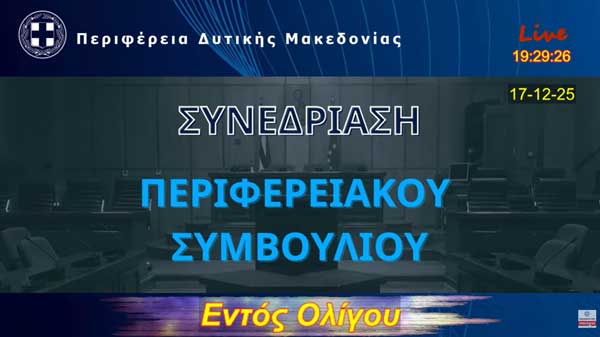 Τι ακούστηκε στη διακοπή του περιφερειακού συμβουλίου: «Αυτός μπορεί να πάρει την άδεια να την πουλήσει»