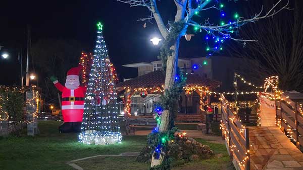 Φωταγώγηση του χριστουγεννιάτικου δέντρου στην “παραμυθο-πλατεία”στο Βαθύλακκο
