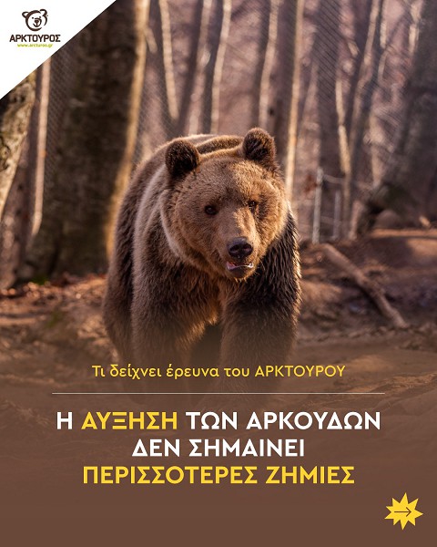 Έρευνα του Αρκτούρου με δεδομένα 22 ετών δείχνει ότι η αύξηση των αρκούδων στην Ελλάδα δεν σημαίνει περισσότερες ζημιές