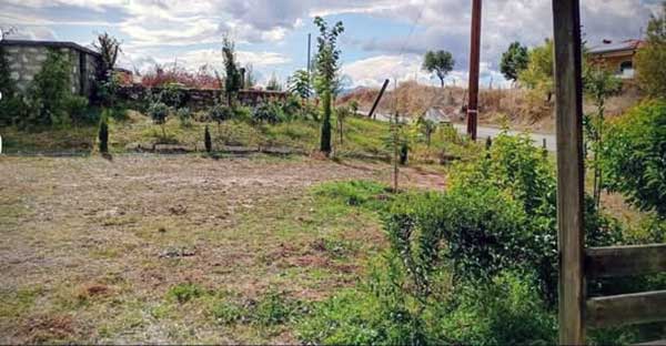 Νεάπολη: Αναδάσωσε άγονη έκταση οκτώ στρεμμάτων φυτεύοντας 350 δέντρα σε τρία χρόνια με σπάνιες ποικιλίες