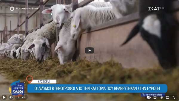 Οι δίδυμοι κτηνοτρόφοι από την Καστοριά που βραβεύτηκαν στην Ευρώπη