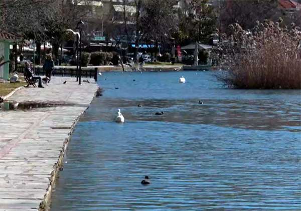 Καστοριά: Σε πολύ υψηλά επίπεδα η στάθμη της λίμνης