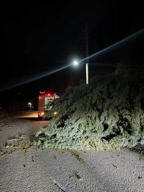 Έπεσαν δέντρα στη Νέα Χαραυγή λόγω των ισχυρών ανέμων-Ευχαριστήριο