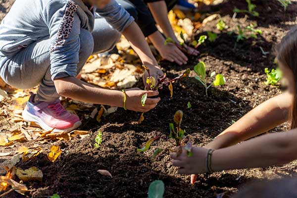 Carbon Farming Schools 2025: ΔΕΗ και Open Farm προωθούν τη βιώσιμη γεωργία στους μαθητές