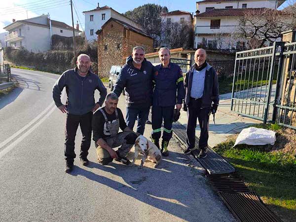 Συνδρομή του Δήμου Φλώρινας σε επιχείρηση απεγκλωβισμού σκύλου από φρεάτιο στην κοινότητα Πολυποτάμου