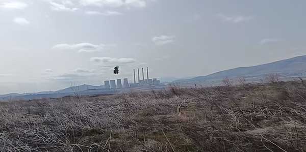 Σωτήρια παρέμβαση για την πεδινή πέρδικα στις εκτάσεις της ΔΕΗ
