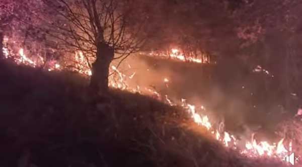 Γρεβενά: Φωτιά σε δασική έκταση στο Kαλαμίτσι