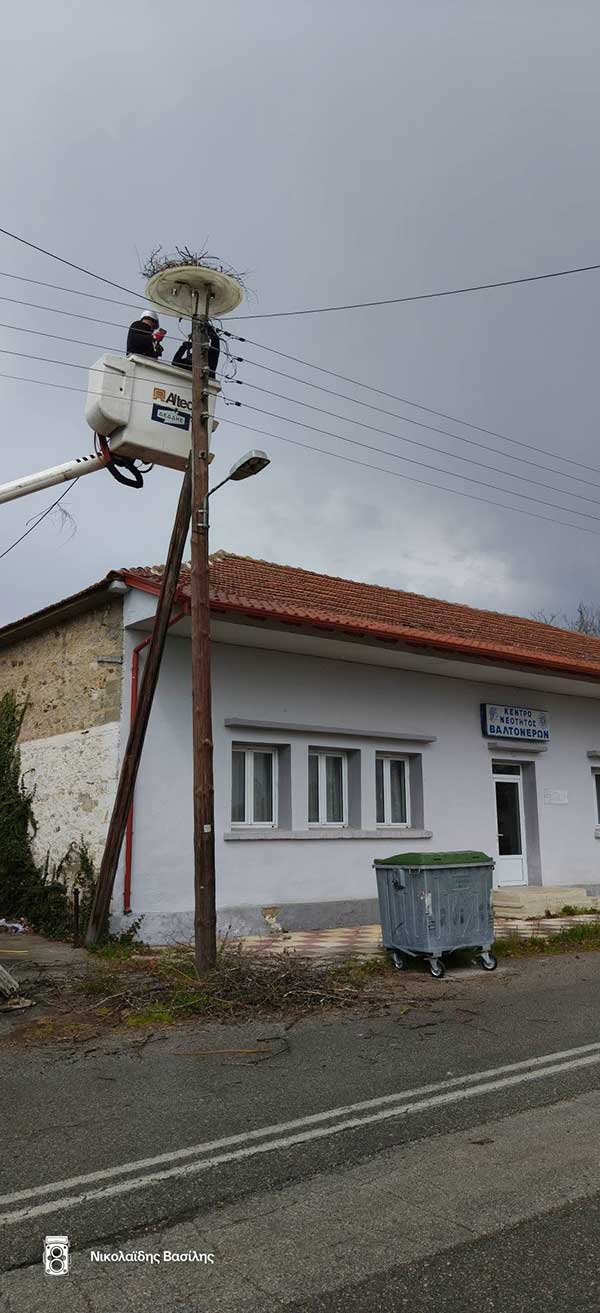 Νέες τοποθετήσεις πελαργοφωλιών στα Βαλτόνερα Φλώρινας